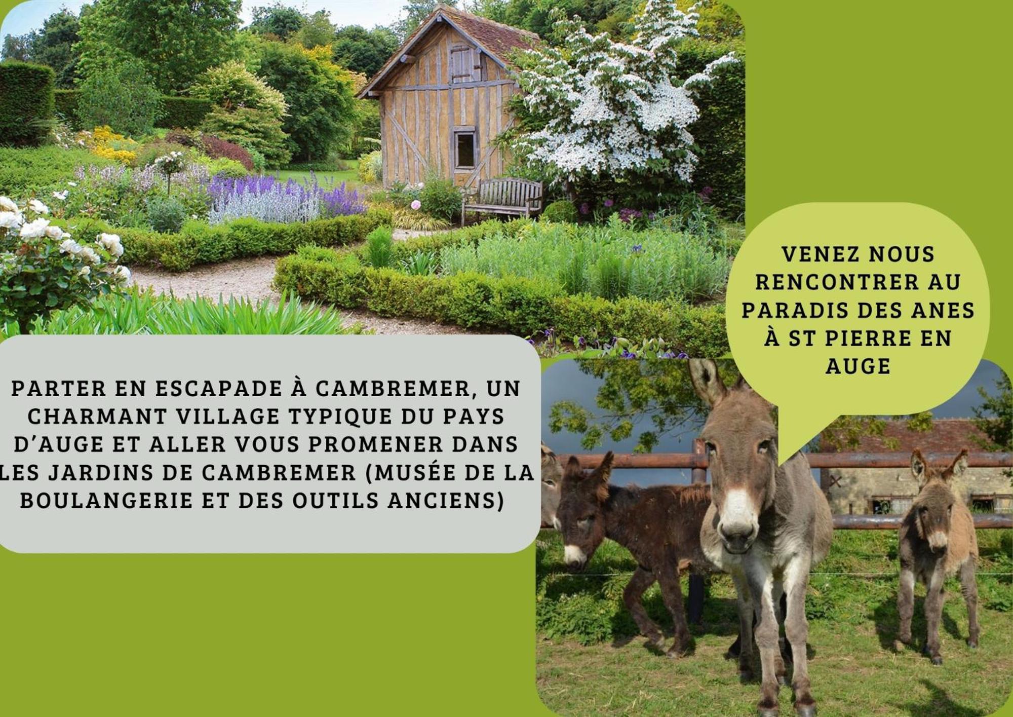 La Ferme Familiale De - 9 Pers Hébergement de vacances